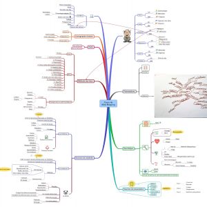 Coursmindmapping